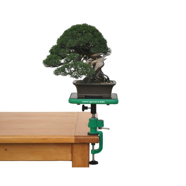 Green-T Mini V - Table de Travail pour Bonsaï Shohin Modèle V