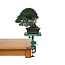 Green-T Mini V - Shohin Bonsai Mesa de Trabajo Modelo V