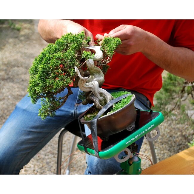 Green-T Mini V - Tavolo da lavoro Shohin Bonsai Modello V