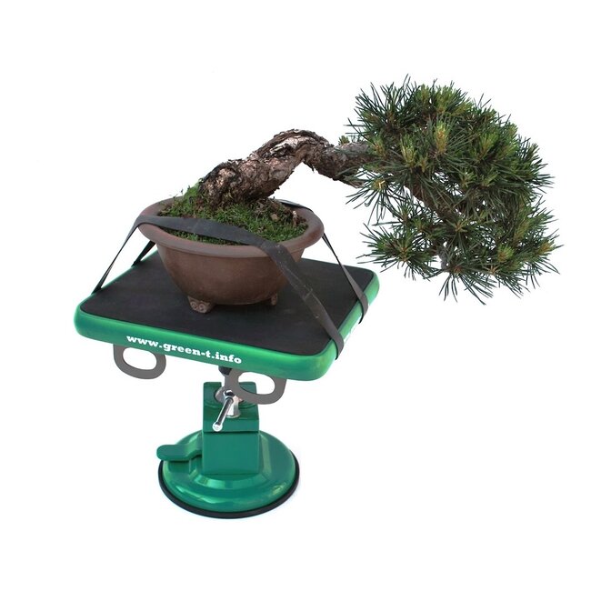 Green-T Mini - Table de Travail pour Bonsaï Shohin Modèle S