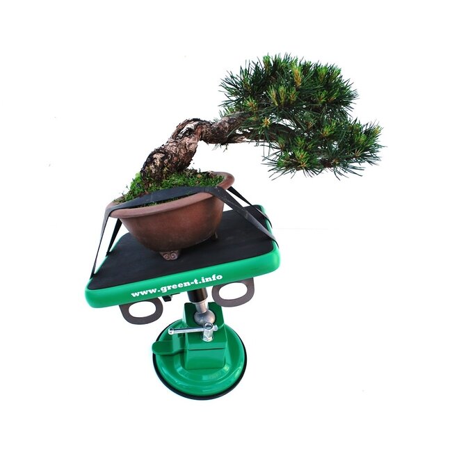 Green-T Mini - Mesa de Trabajo Shohin Bonsai Modelo S