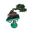 Green-T Mini - Mesa de Trabajo Shohin Bonsai Modelo S