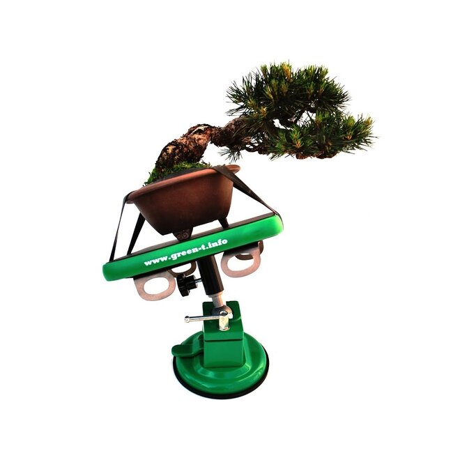 Green-T Mini - Shohin Bonsai-Arbeitstisch Modell S