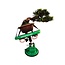 Green-T Mini - Shohin Bonsai-Arbeitstisch Modell S