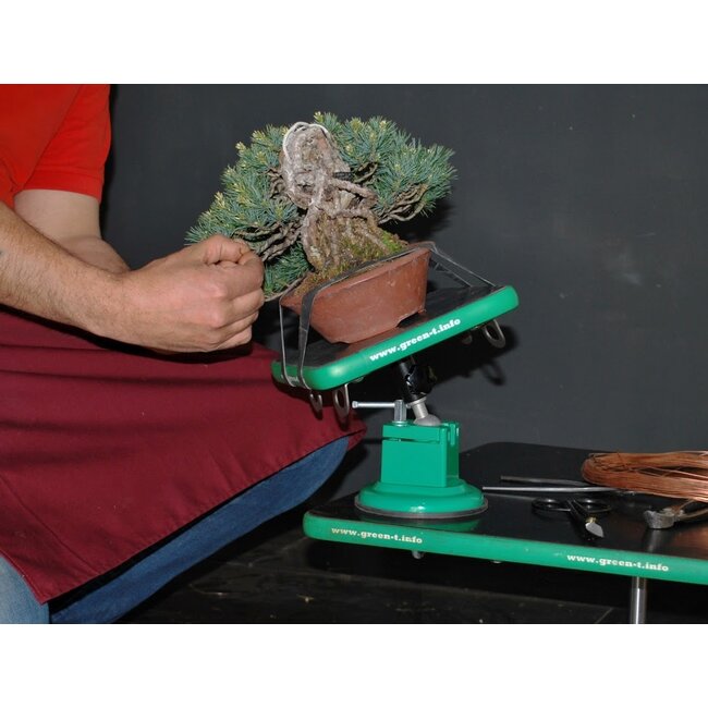 Green-T Mini - Table de Travail pour Bonsaï Shohin Modèle S