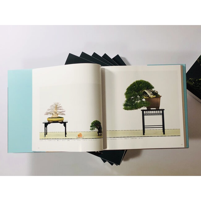 Catalogo della mostra Kokufu Bonsai n° 93 - 2019
