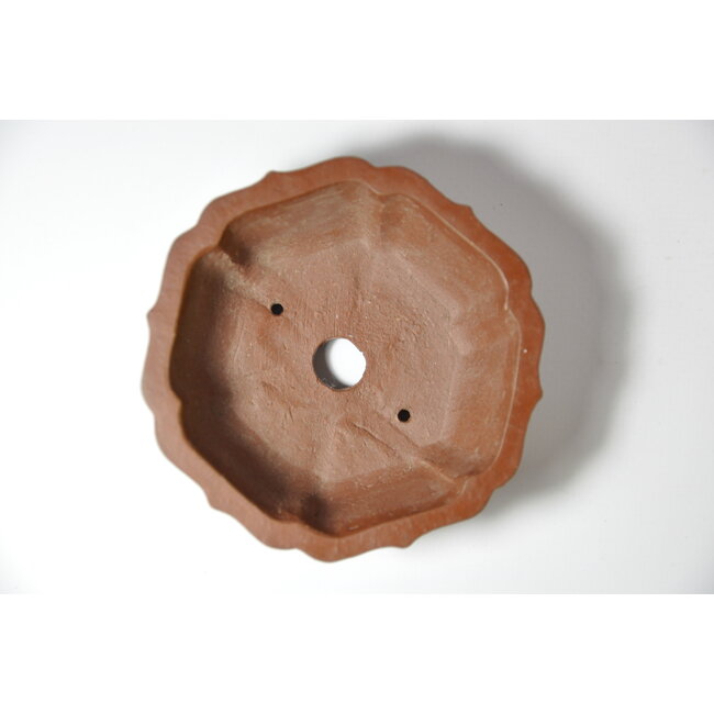 Pot Shibakatsu hexagonal non vitré - 90 x 90 x 31 mm