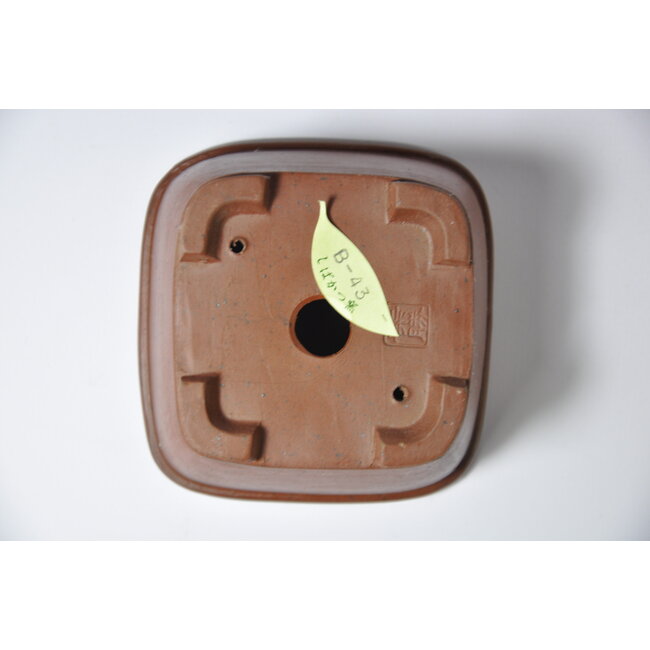 Pot Shibakatsu carré non vitré - 85 x 85 x 42 mm