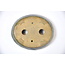 Pot ovale vert - 80 x 68 x 21 mm