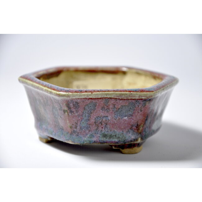 Maceta hexagonal multicolor - 100 x 91 x 39 mm