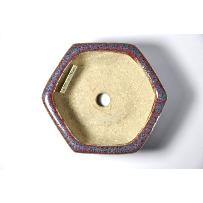 Maceta hexagonal multicolor - 100 x 91 x 39 mm