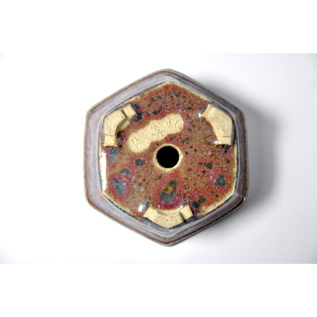 Maceta hexagonal multicolor - 100 x 91 x 39 mm