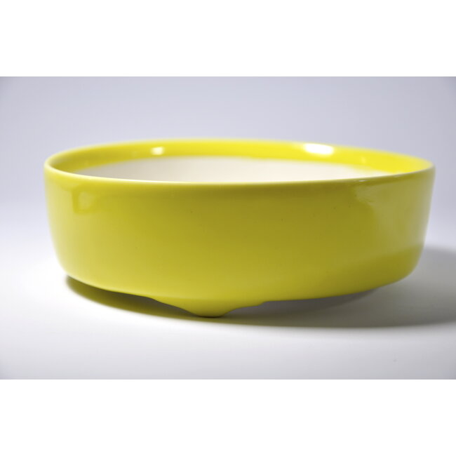 Rond geel geglazuurde Seifu-pot - 149 x 149 x 47 mm