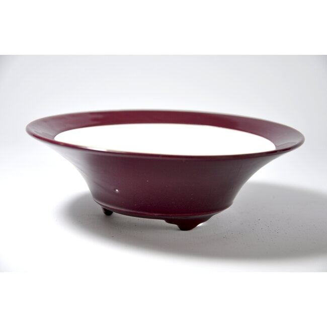 Pot Seifu rond aubergine pourpre - 148 x 148 x 48 mm