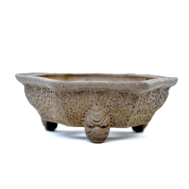 Zeshoekige ongeglazuurde pot - 115 x 115 x 45 mm