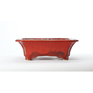 Sharaku (しゃらく / 写楽） Rectangular red Sharaku pot - 183 mm