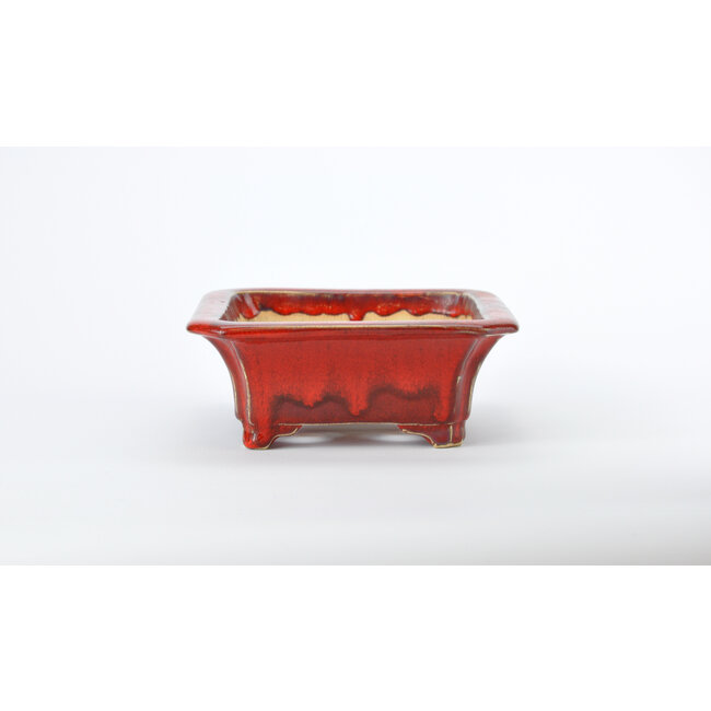 Rectangular red Sharaku pot - 183 x 152 x 60 mm