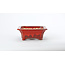 Rectangular red Sharaku pot - 183 x 152 x 60 mm