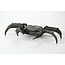 Tenpai Crab bronze, 190 mm