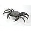 Tenpai Crab Bronze, 190 mm