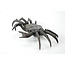 Tenpai Crab Bronze, 190 mm