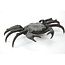 Tenpai Crab Bronze, 190 mm