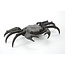 Tenpai Crab Bronze, 190 mm