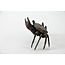 Crabe Tenpai, bronze, 115 mm