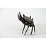 Tenpai Crab, bronze, 115 mm