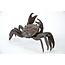 Crabe Tenpai, bronze, 115 mm