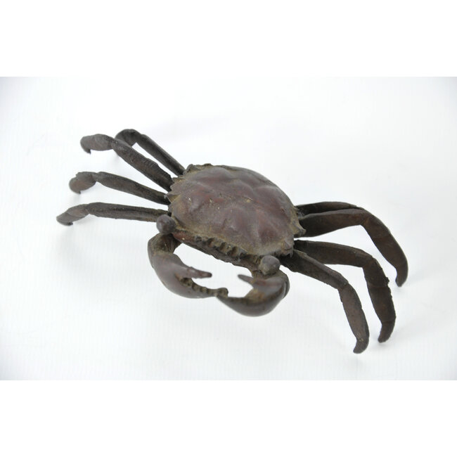 Crabe Tenpai, bronze, 115 mm