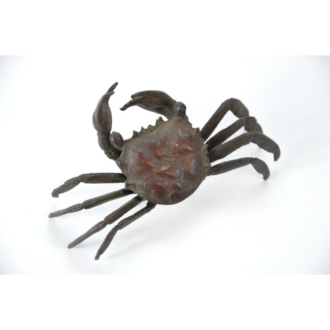 Crabe Tenpai, bronze, 115 mm