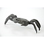 Crabe Tenpai, bronze, 115 mm