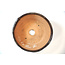 Maceta redonda Bonsa marrón - 110 x 107 x 50 mm