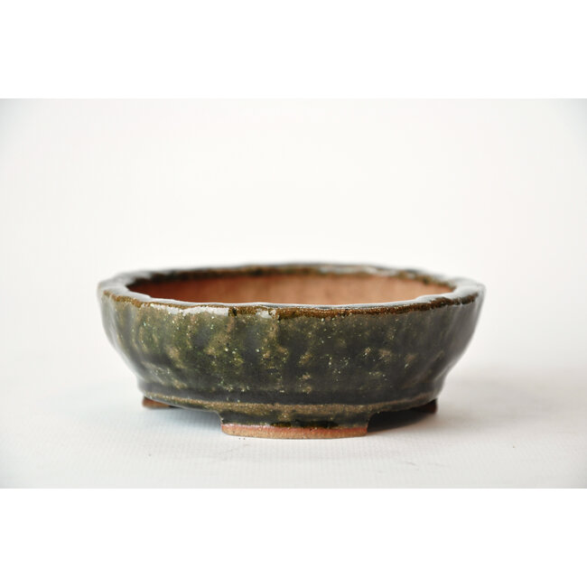 Vaso Bonsa verde tondo - 100 x 103 x 35 mm