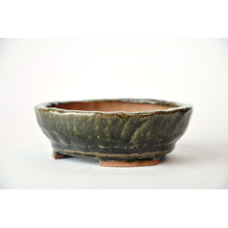 Bonsai 100 mm round green bonsai pot by Bonsa, Tokoname, Japan