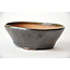 Round gold and brown Bonsa pot - 117 x 115 x 40 mm