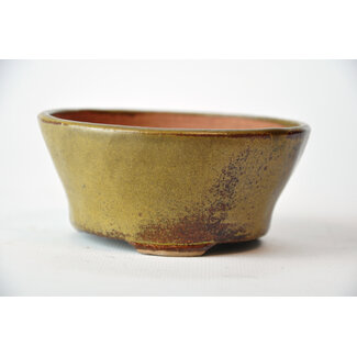 Bonsai 105 mm round golden bonsai pot by Bonsa, Tokoname, Japan