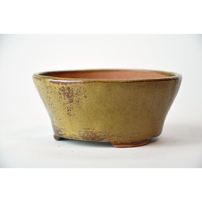 Pot rond Bonsa doré - 105 x 105 x 45 mm