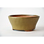 Round golden Bonsa pot - 105 x 105 x 45 mm