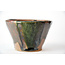 Ronde groene en bruine Bonsa-pot - 115 x 113 x 70 mm