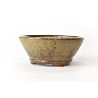 Bonsai 117 mm round golden bonsai pot by Bonsa, Tokoname, Japan