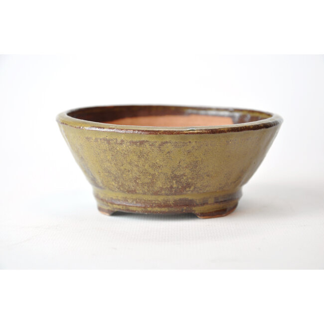 Round golden Bonsa pot - 117 x 117 x 50 mm