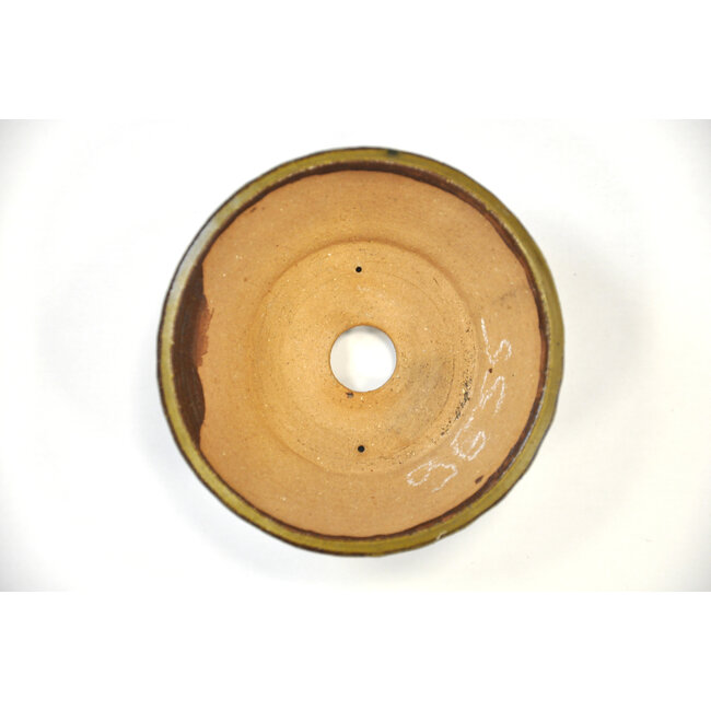 Vaso rotondo in bonsa dorato - 117 x 117 x 50 mm