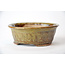 Pot rond Bonsa en or et marron - 100 x 100 x 35 mm
