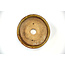 Ronde goud en bruine Bonsa-pot - 100 x 100 x 35 mm