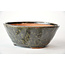Round green Bonsa pot - 120 x 115 x 45 mm