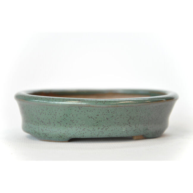 Maceta Seto verde azulado oval - 104 x 96 x 25 mm