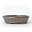 Ovale bruine Seto-pot - 98 x 86 x 25 mm