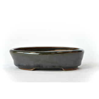 Seto 107 mm oval multicolor bonsai pot by Seto, Japan, Japan